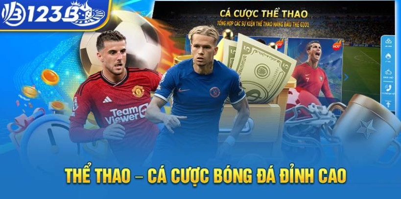 Giới thiệu về sảnh thể thao 123B